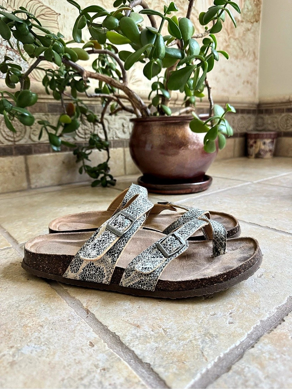Time and Tru Roaming Slide Animal Print Buckle Sandals